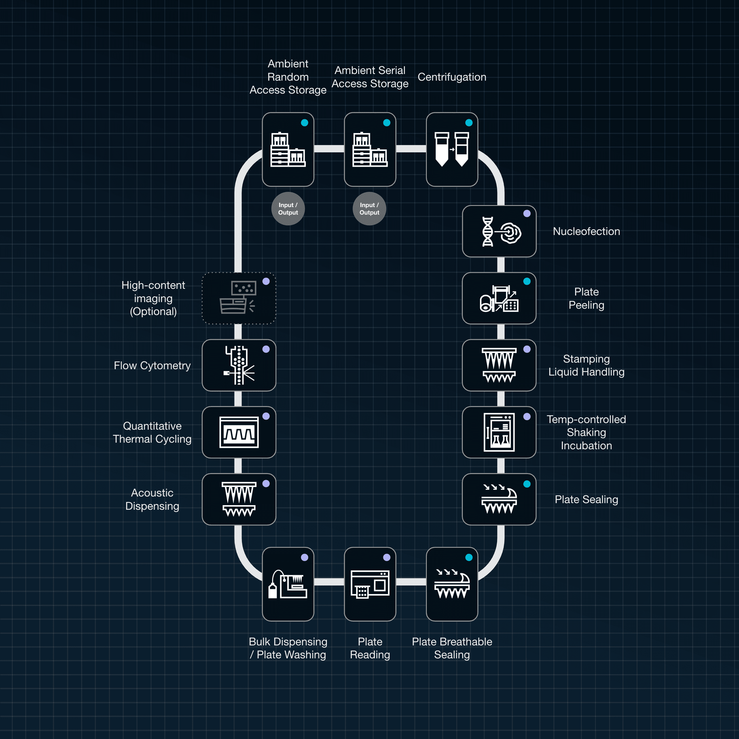Schematic of high-throughput mammalian biology RAC system